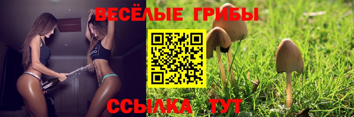 купить наркотик  Вход с VPN  Златоуст  Галлюциногенные грибы MAGIC MUSHROOMS 
