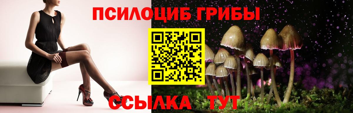 Галлюциногенные грибы мицелий Златоуст