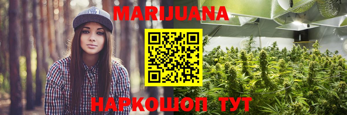Конопля планчик Златоуст